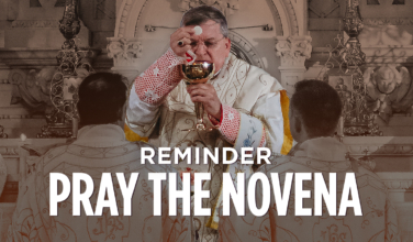 Are You Joining Cardinal Burke in Prayer?
