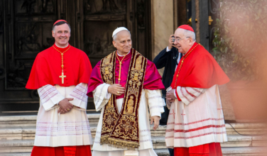 Senior Vox reporter praises Pope Leo’s AI focus