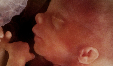 Expert: EU abortion tourism initiative undermines national legislation and treaties