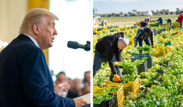 Trump’s deportation strategy reshapes American workforce, spurs wage growth