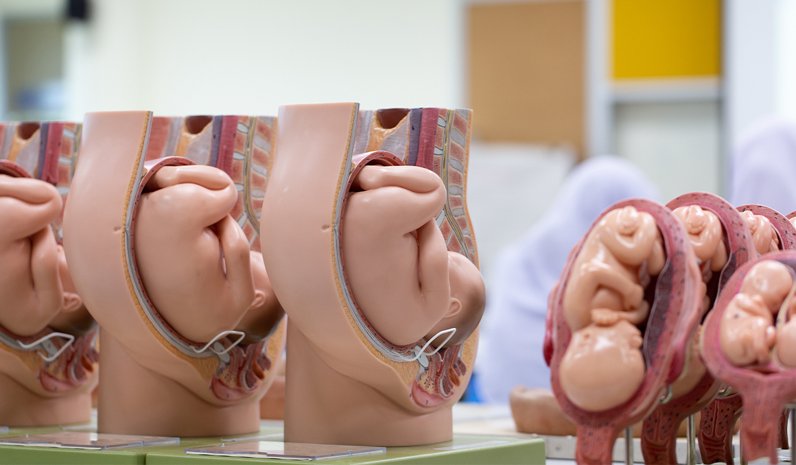 New Chicago clinic advertises abortions through ‘all trimesters’ up to 34 weeks