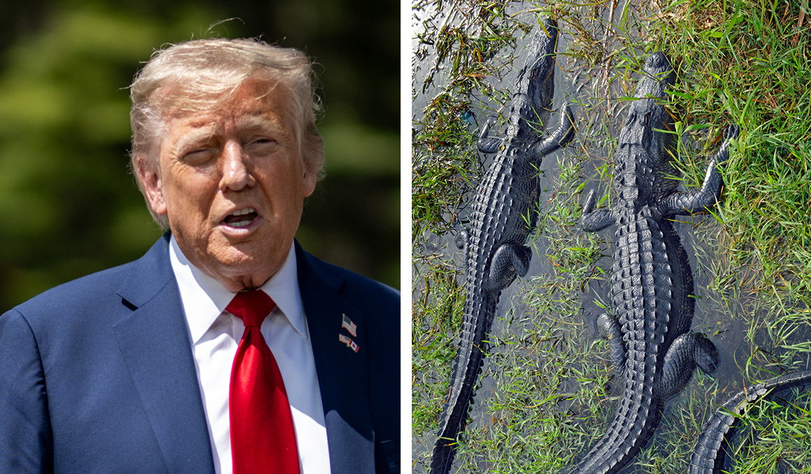 Trump to visit ‘Alligator Alcatraz’ detention facility in Florida on opening day
